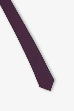 Simon Necktie - Plum -US Skirt Sales 2024 BIRDY GREY GROOMSMEN SIMON NECKTIE PLUM 2