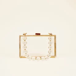 Clear Clutch With Clear Beads