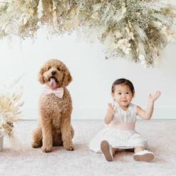 Liz Flower Girl Sash - Sheen Pale Pink -US Skirt Sales 2024 BIRDY GREY ELIZABETH FLOWER GIRL SASH BLUSH PINK 02 scaled