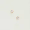Sparkling Stud Earrings