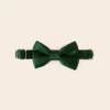 Sadie Dog Bow Tie Collar - Sheen Emerald