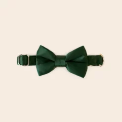 Sadie Dog Bow Tie Collar - Sheen Emerald