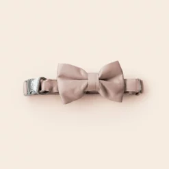 Sadie Dog Bow Tie Collar - Sheen Taupe