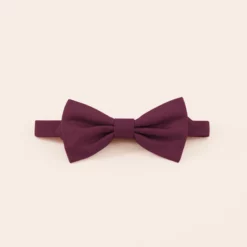 Harry Bow Tie - Cabernet
