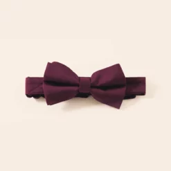 Sadie Dog Bow Tie Collar - Cabernet