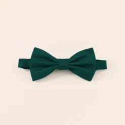 Harry Bow Tie - Emerald