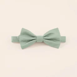 Harry Bow Tie - Sage