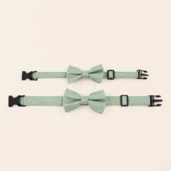 Sadie Dog Bow Tie Collar - Sage -US Skirt Sales 2024 sage sadie dog bow tie collar 01 12d05134 6e90 4009 89d4 56c97d7e67fc