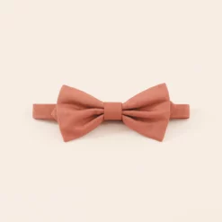 Harry Bow Tie - Terracotta