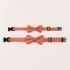 Sadie Dog Bow Tie Collar - Terracotta 5 Sadie Dog Bow Tie Collar - Terracotta -US Skirt Sales 2024 terracotta sadie dog bow tie collar 01