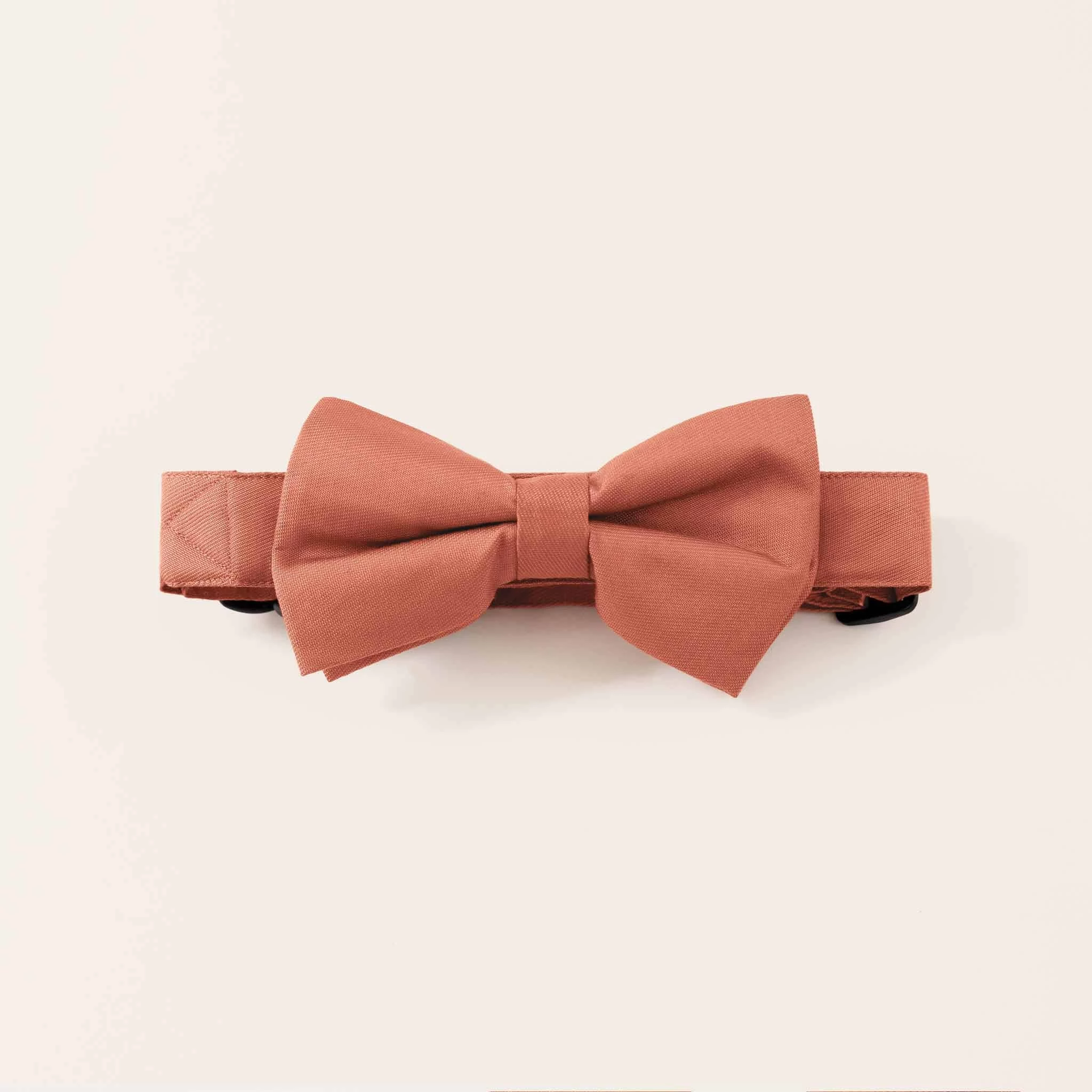 Sadie Dog Bow Tie Collar - Terracotta 1 Sadie Dog Bow Tie Collar - Terracotta